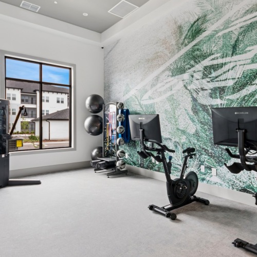 a gym with exercise equipment